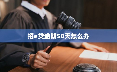 招e贷逾期50天怎么办