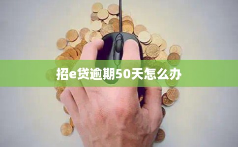 招e贷逾期50天怎么办