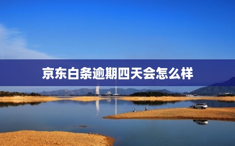 京东白条逾期四天会怎么样
