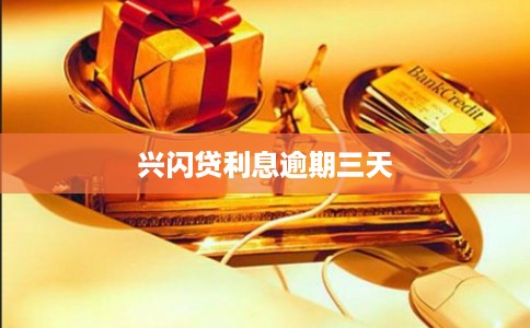 兴闪贷利息逾期三天