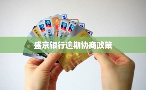 盛京银行逾期协商政策