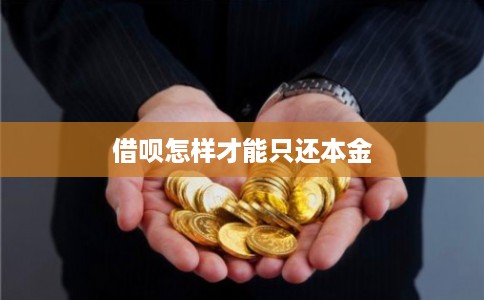 借呗怎样才能只还本金
