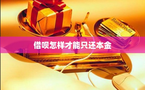 借呗怎样才能只还本金