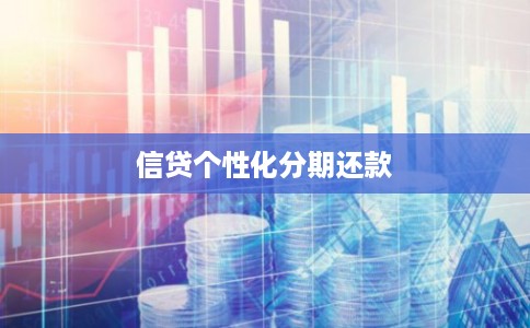 信贷个性化分期还款