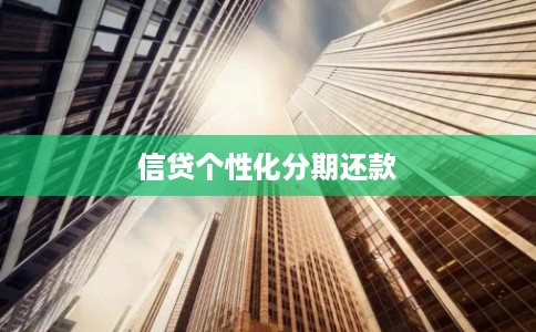 信贷个性化分期还款
