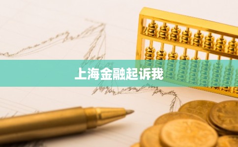上海金融起诉我