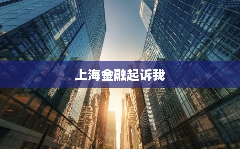 上海金融起诉我