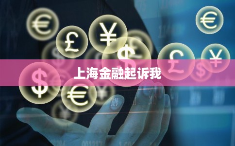 上海金融起诉我