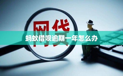 蚂蚁借呗逾期一年怎么办