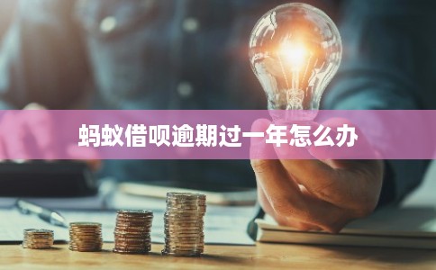 蚂蚁借呗逾期过一年怎么办