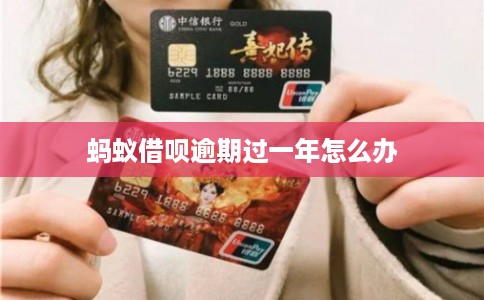 蚂蚁借呗逾期过一年怎么办