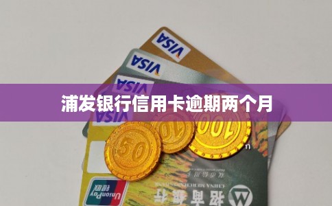 浦发银行信用卡逾期两个月