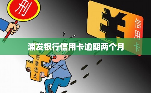浦发银行信用卡逾期两个月