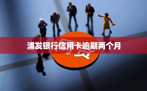 浦发银行信用卡逾期两个月