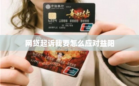 网贷起诉我要怎么应对益阳
