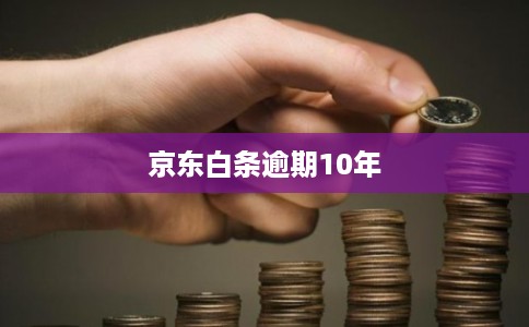 京东白条逾期10年