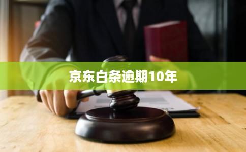 京东白条逾期10年
