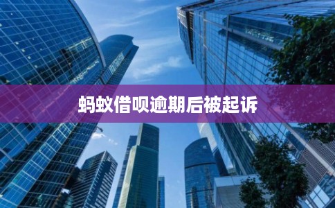 蚂蚁借呗逾期后被起诉