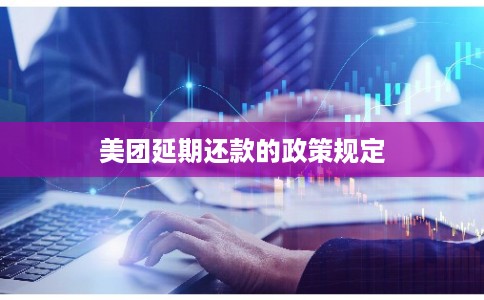 美团延期还款的政策规定