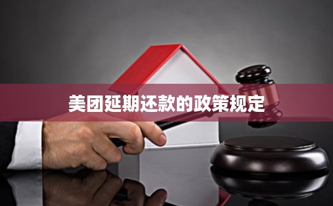 美团延期还款的政策规定