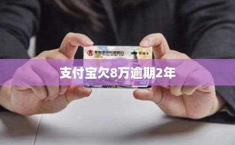 支付宝欠8万逾期2年