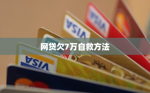 网贷欠7万自救方法