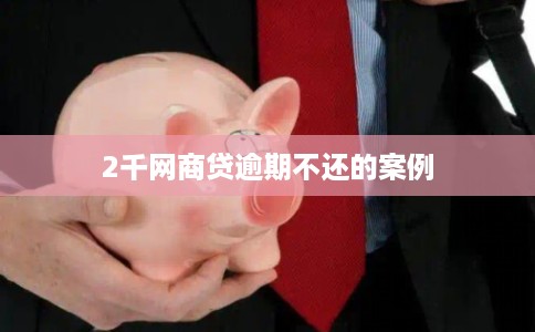 2千网商贷逾期不还的案例