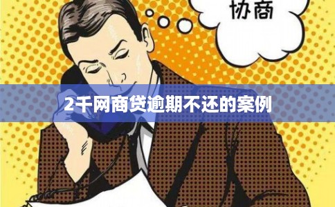 2千网商贷逾期不还的案例