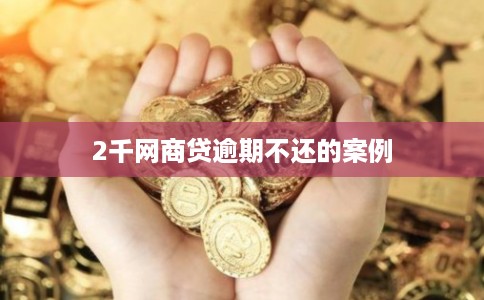 2千网商贷逾期不还的案例