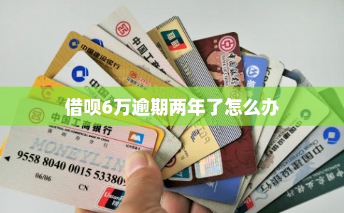 借呗6万逾期两年了怎么办