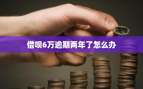 借呗6万逾期两年了怎么办