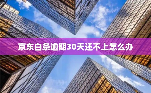 京东白条逾期30天还不上怎么办