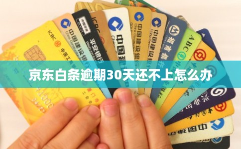 京东白条逾期30天还不上怎么办