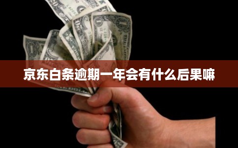 京东白条逾期一年会有什么后果嘛
