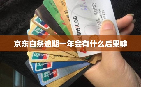 京东白条逾期一年会有什么后果嘛