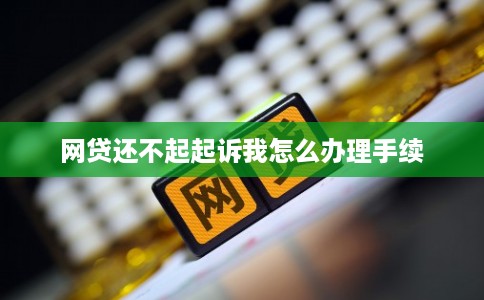 网贷还不起起诉我怎么办理手续