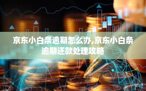 京东小白条逾期怎么办,京东小白条逾期还款处理攻略