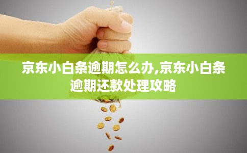 京东小白条逾期怎么办,京东小白条逾期还款处理攻略