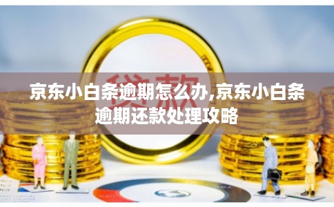 京东小白条逾期怎么办,京东小白条逾期还款处理攻略