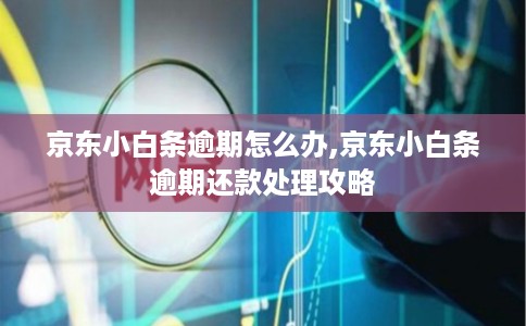 京东小白条逾期怎么办,京东小白条逾期还款处理攻略