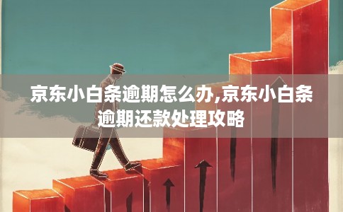 京东小白条逾期怎么办,京东小白条逾期还款处理攻略