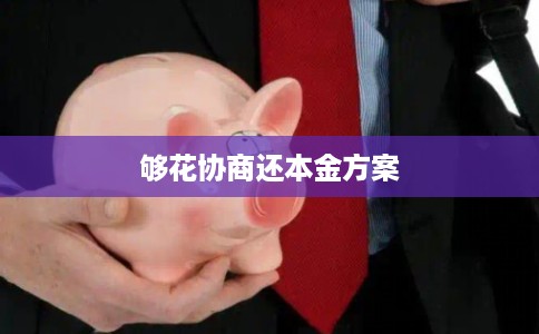 够花协商还本金方案