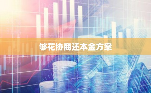 够花协商还本金方案