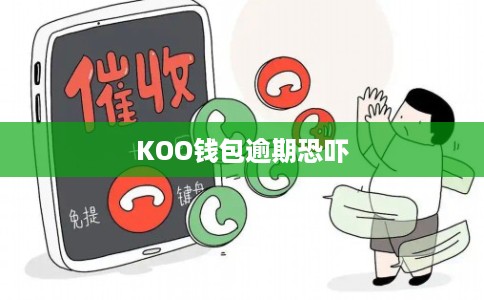 KOO钱包逾期恐吓