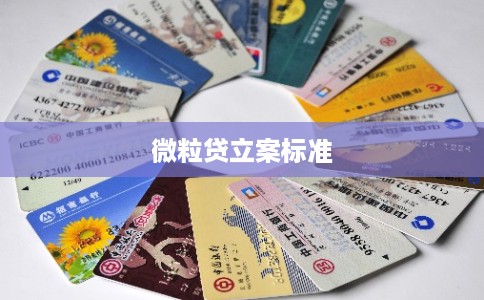 微粒贷立案标准