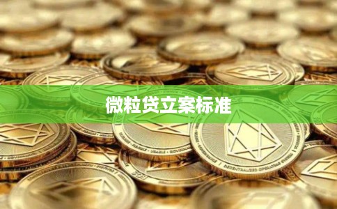 微粒贷立案标准