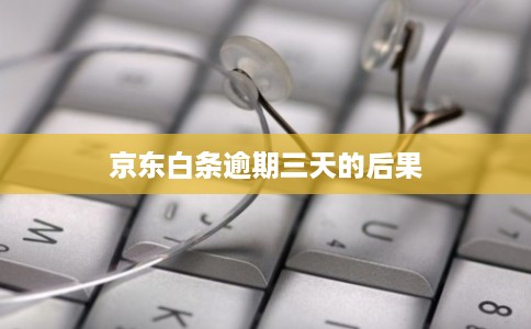 京东白条逾期三天的后果