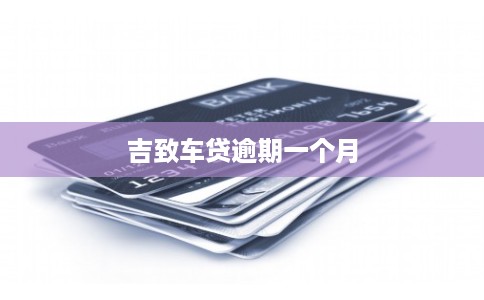 吉致车贷逾期一个月
