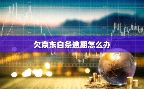 欠京东白条逾期怎么办