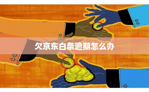 欠京东白条逾期怎么办